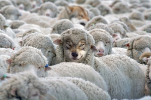 Wolves in Sheep's Clothing