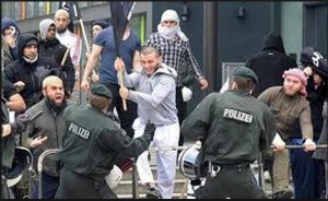 German government analysis